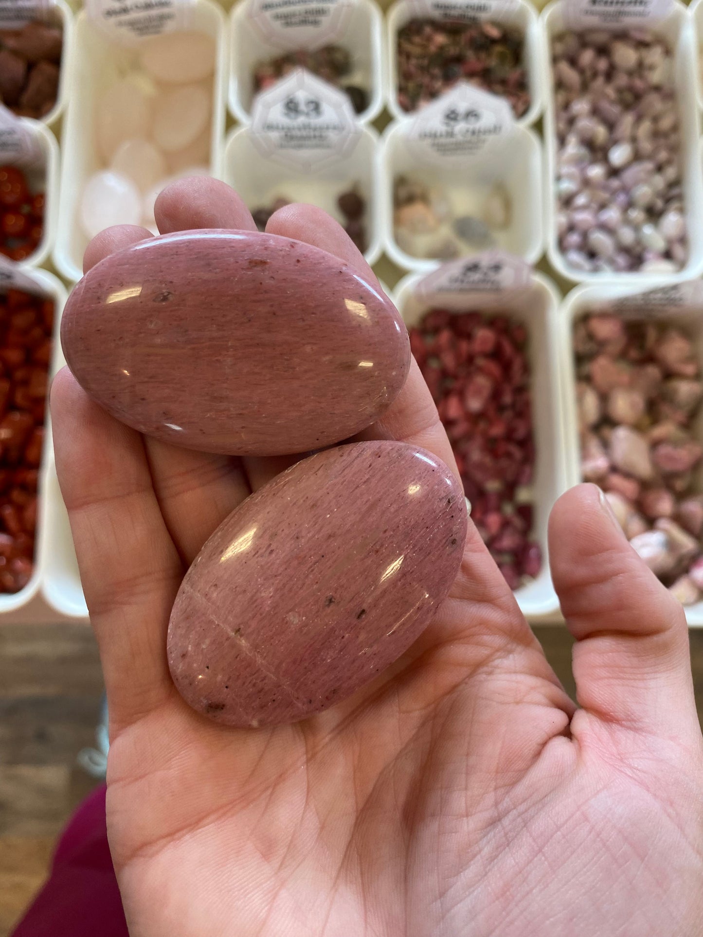 Pink Petrified Wood (Grounded Love & Heart Activation) Palm Stone