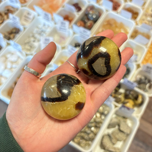 Septarian (Communication & Public Speaking) Palm Stone