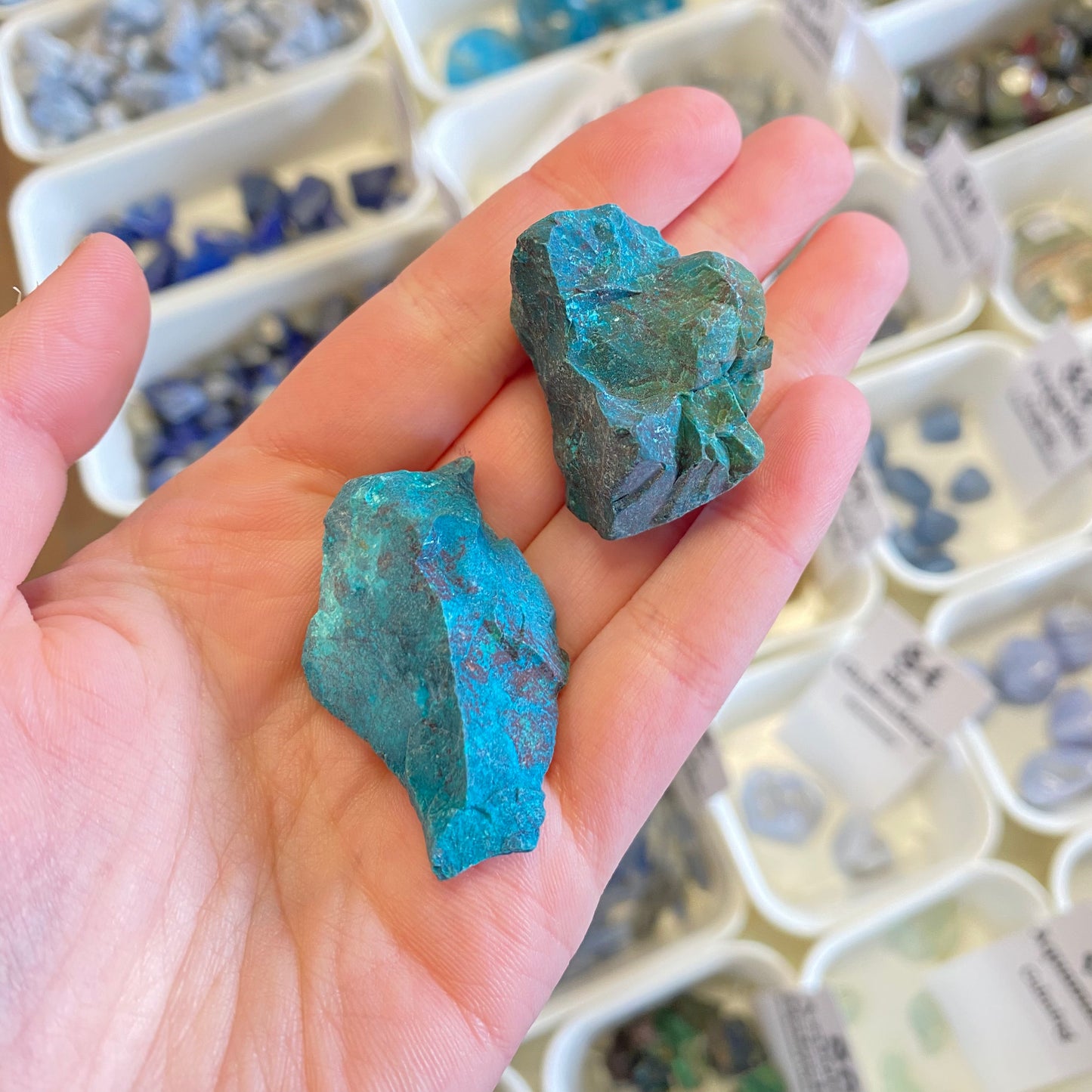 Chrysocolla (Gentleness) Rough