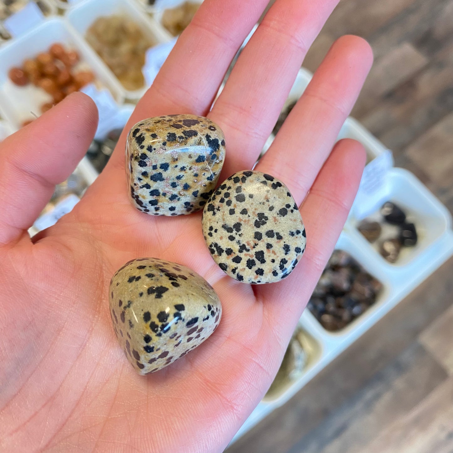 Dalmatian Jasper (Playfullness) Tumbled