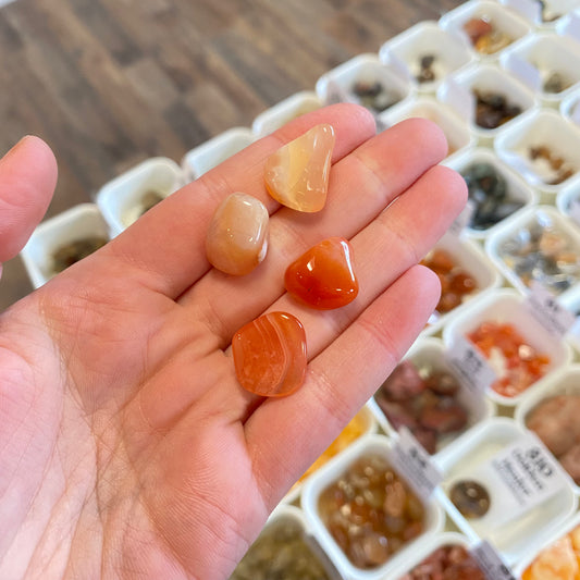 Carnelian Botswana (Creativity) Tumbled