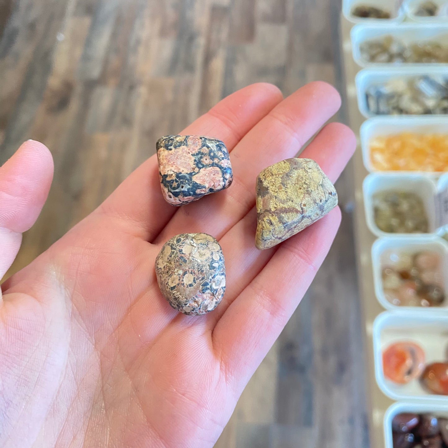 Leopard Skin Jasper (Harmony) Tumbled