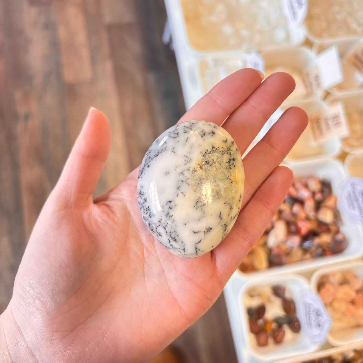 Dendritic Opal (Spiritual Beginnings & Self Awareness) Palm Stone