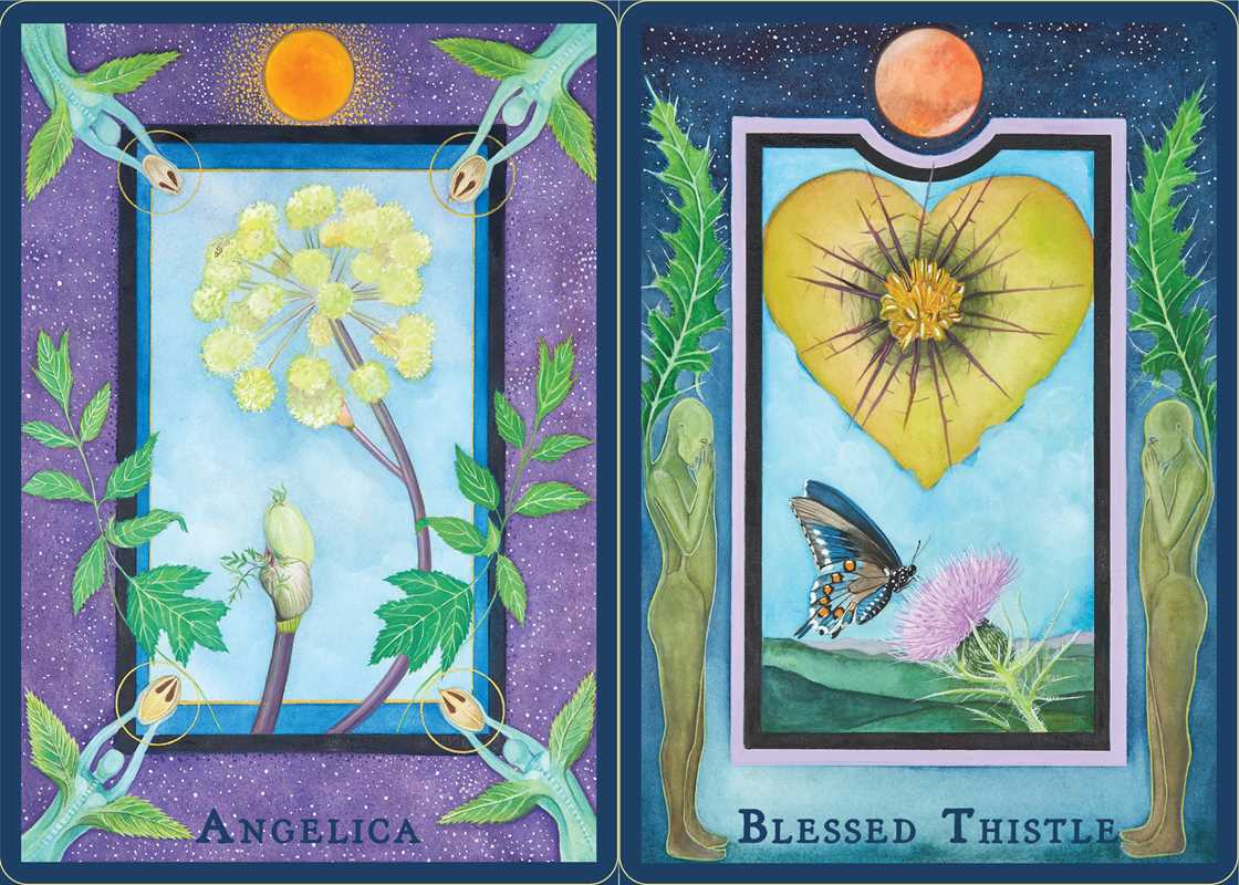 Plant Spirits Oracle by Laura Aversano: Flashcards; 128 pages / English
