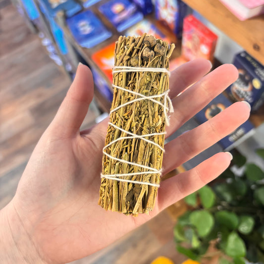 Ruda Rue Sage Bundle (4 inch)