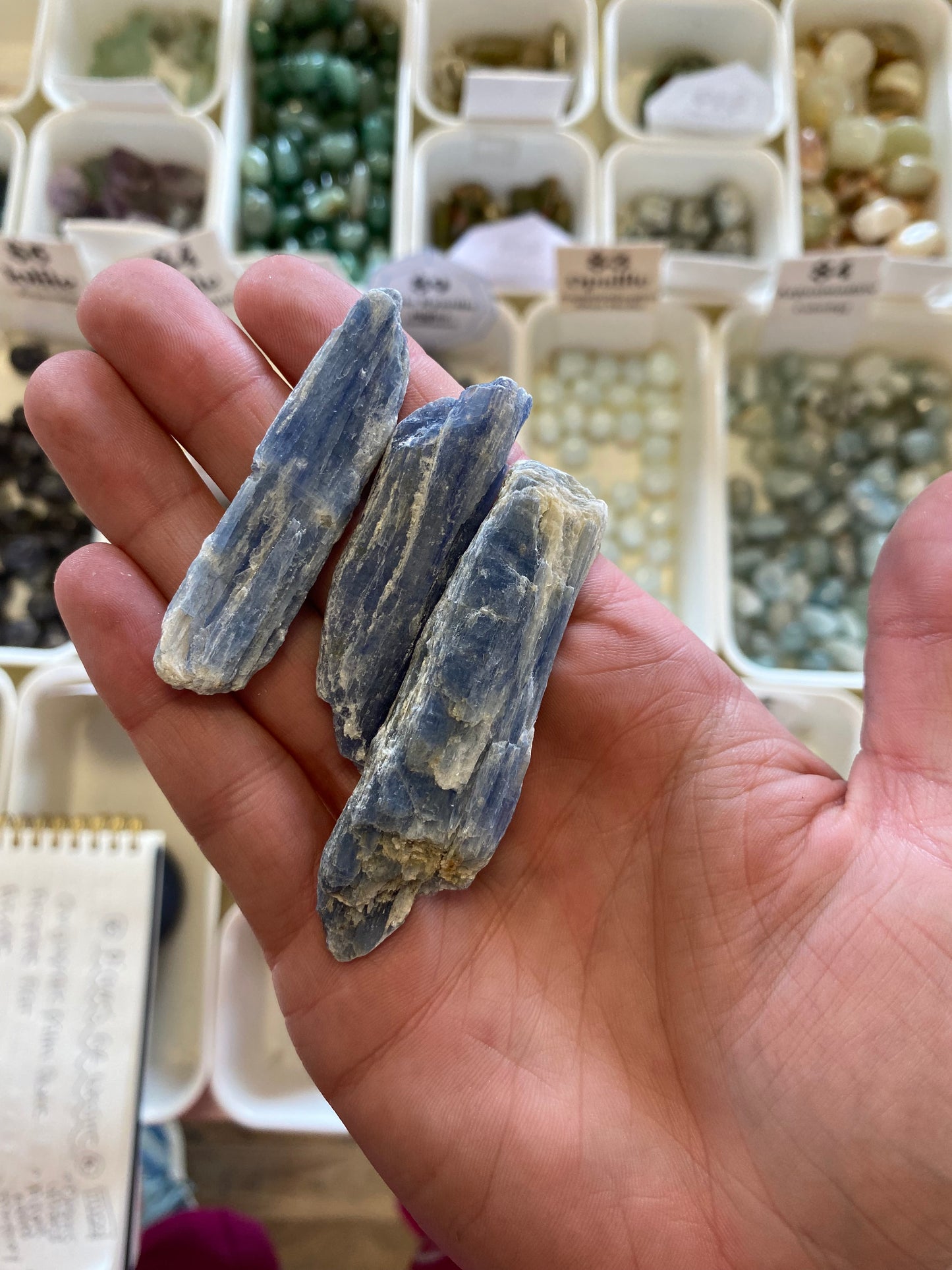 Blue Kyanite (Higher Guidance) Rough L