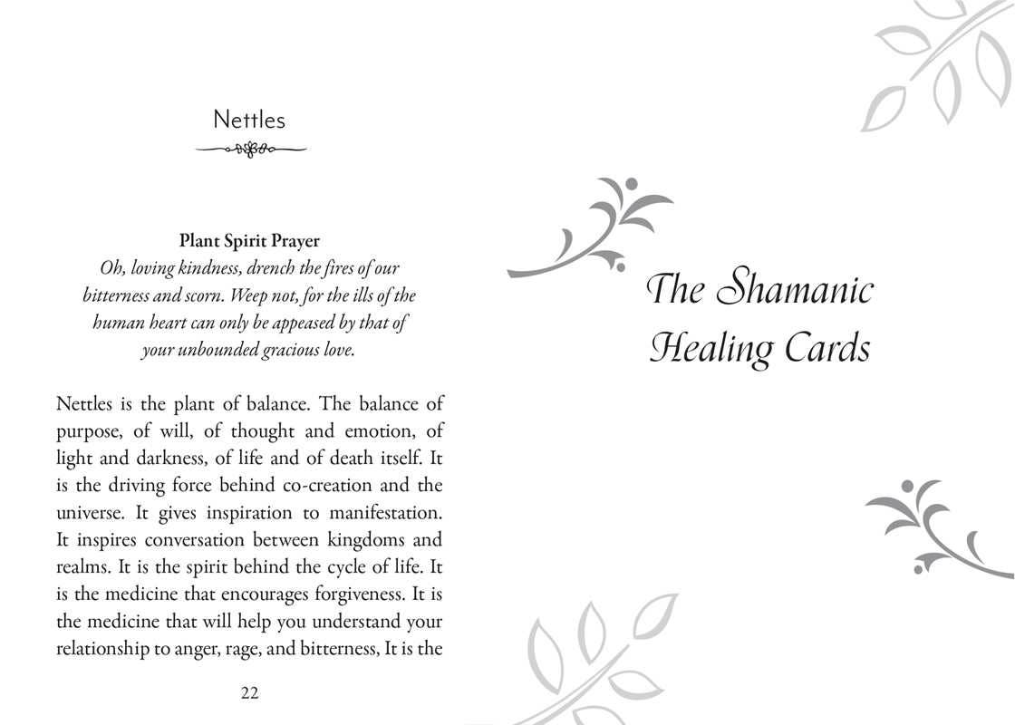 Plant Spirits Oracle by Laura Aversano: Flashcards; 128 pages / English
