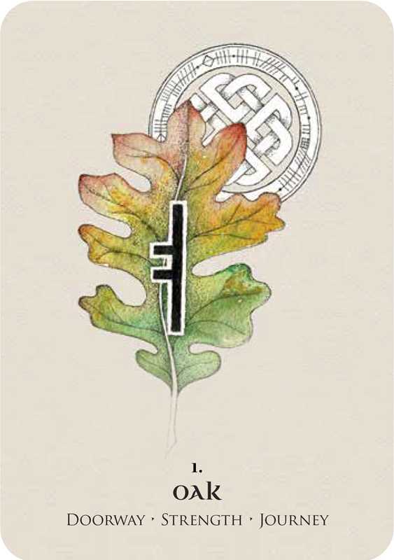 Celtic Spirit Oracle by Nicola McIntosh: Flashcards; 112 pages / English
