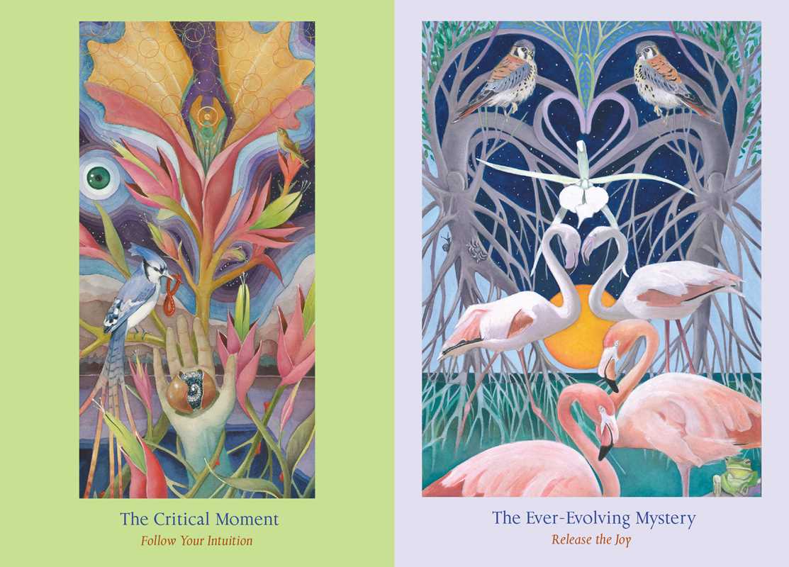 Heart Path Oracle Cards by Nadine Gordon-Taylor: Flashcards; 128 pages / English