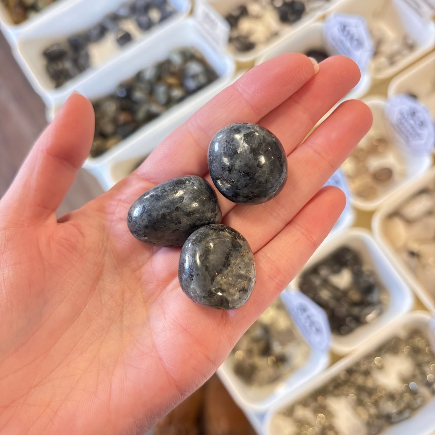 Larvakite (Reduces Negative Thought Patterns) Tumbled