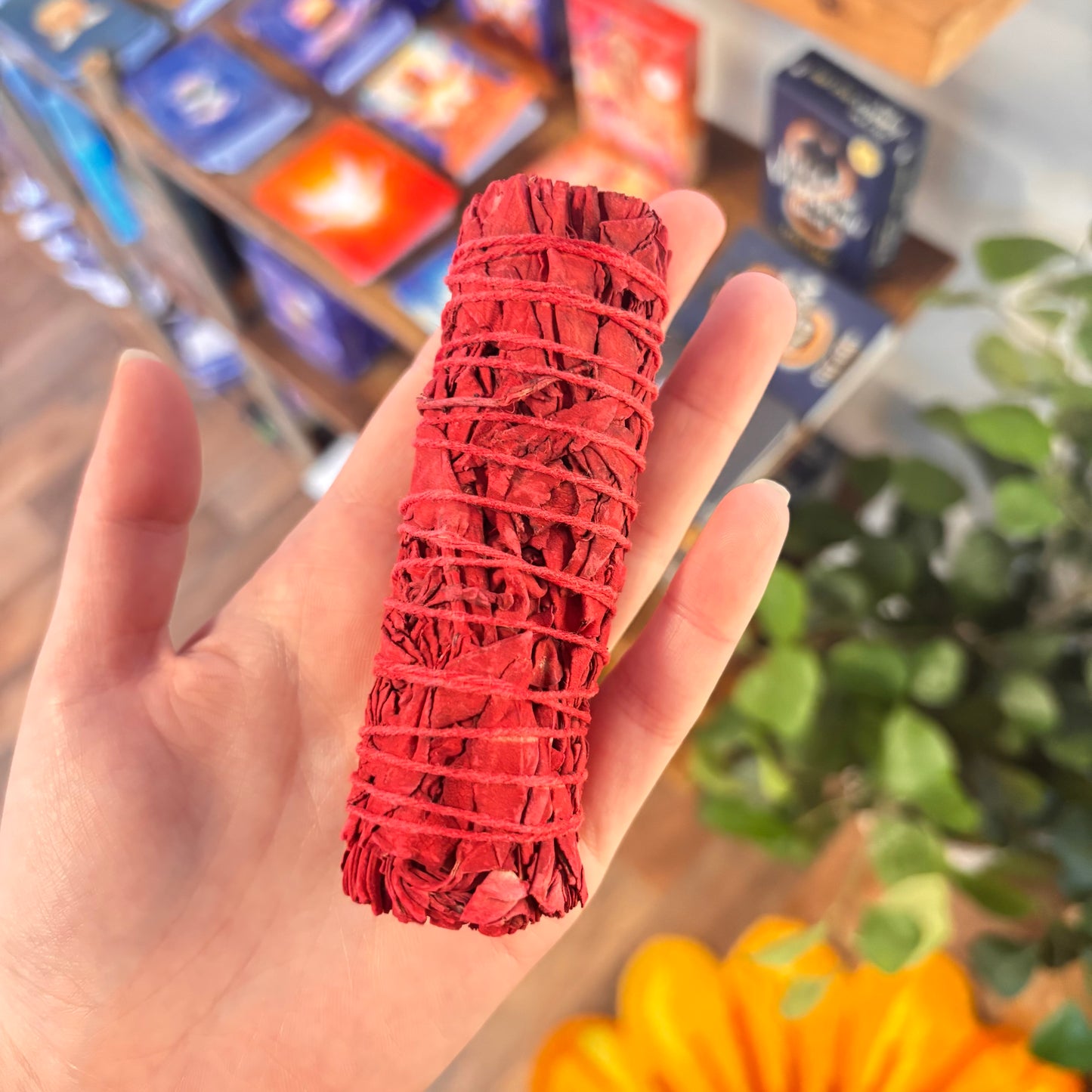 Dragons Blood White Sage (4 inch)