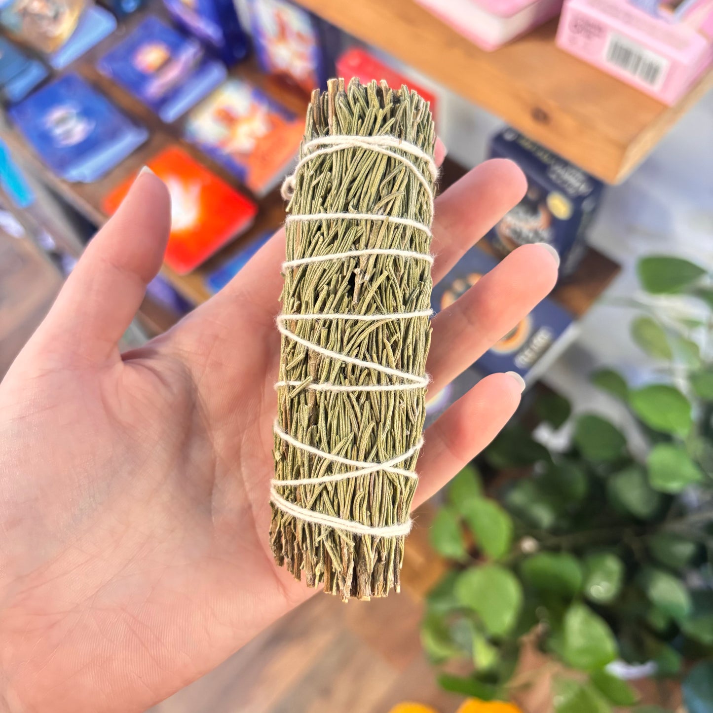 Rosemary Sage Bundle (4 inch)