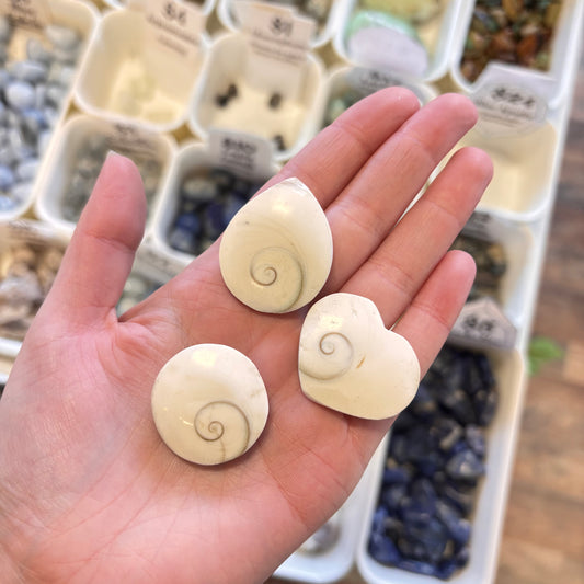 Shiva Eye Shell (Wards off the evil eye) Heart, Round or Teardrop