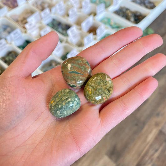 Rainforest Jasper (Connection to Nature) Tumbled