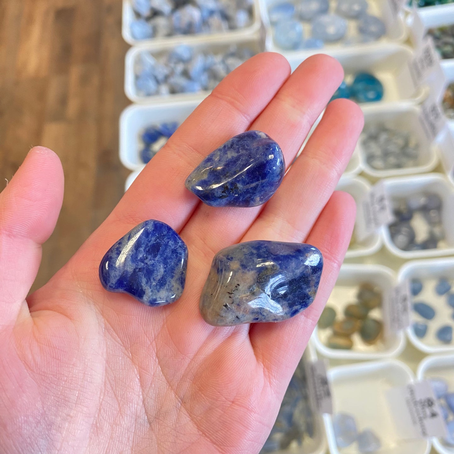 Sodalite (Concentration) Tumbled