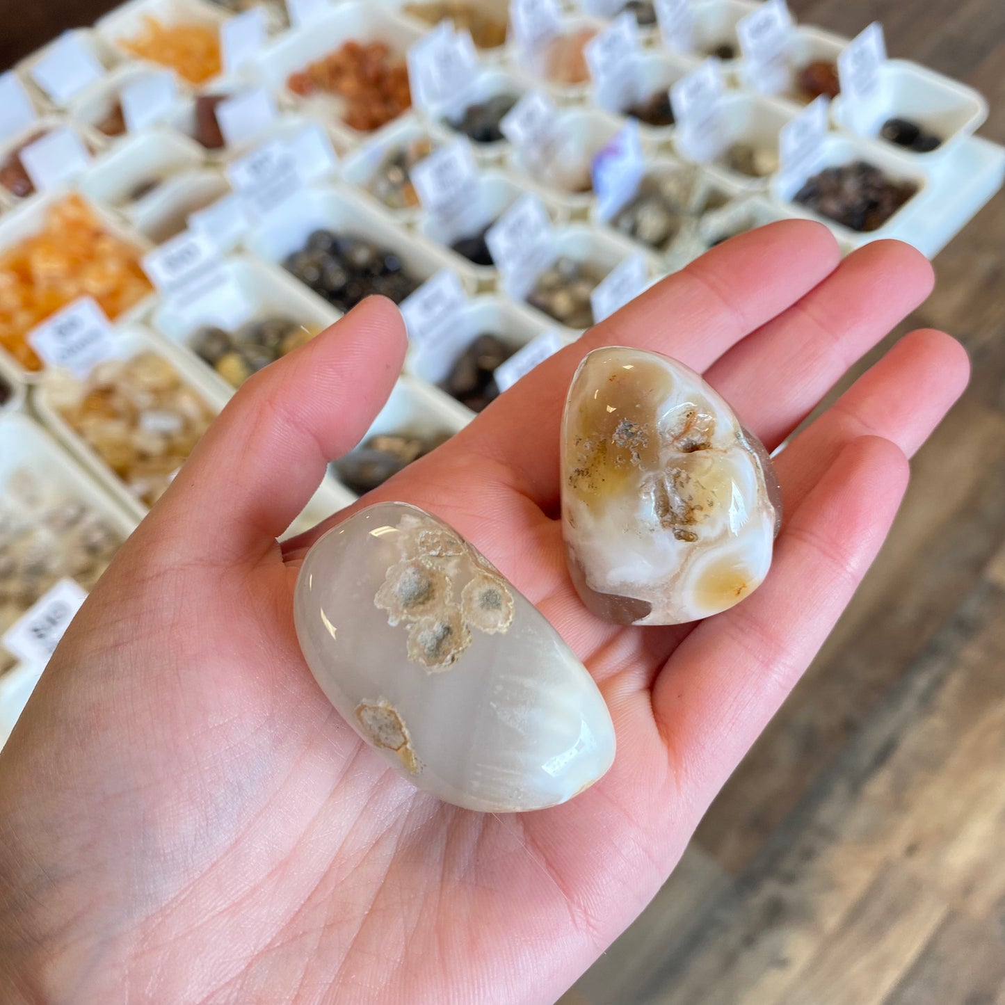 Flower Agate (Personal Growth) Tumbled