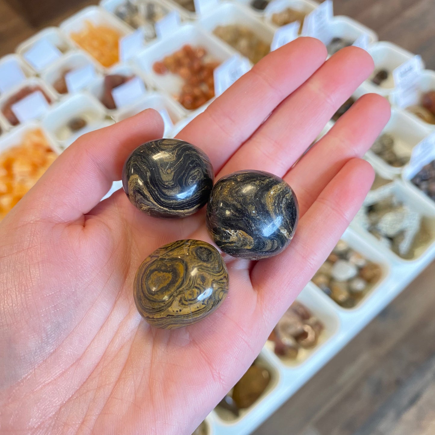 Stromatolite (Patience & Resilience) Tumbled