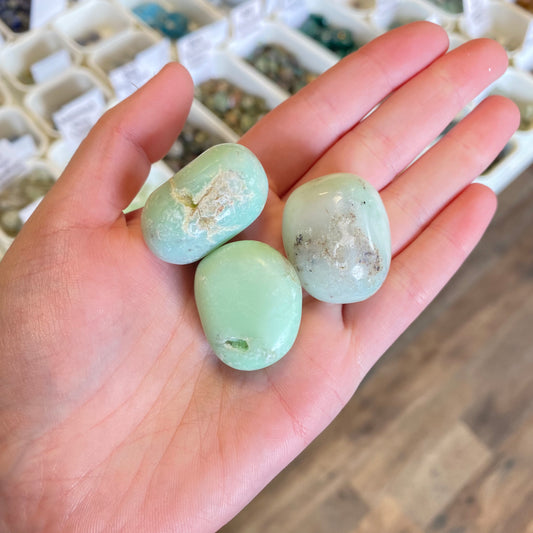 Chrysoprase (Self Acceptance & Prevents Nightmares) Tumbled